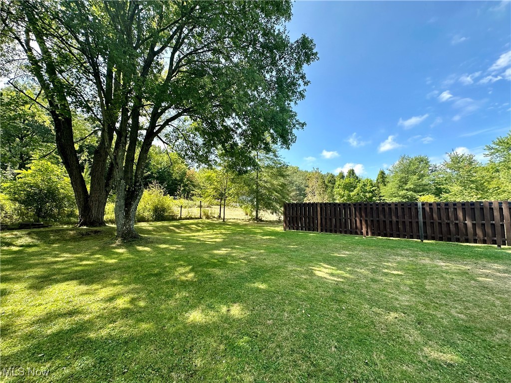 1602 Salt Springs Road Mineral Ridge, OH 44440 - Photo 46 of 50