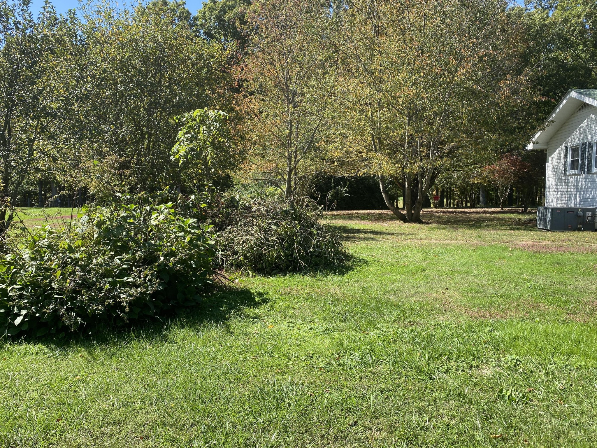 1126 Hamilton Field Road Jamestown, TN 38556 - Photo 7 of 33 Gallery Image 7