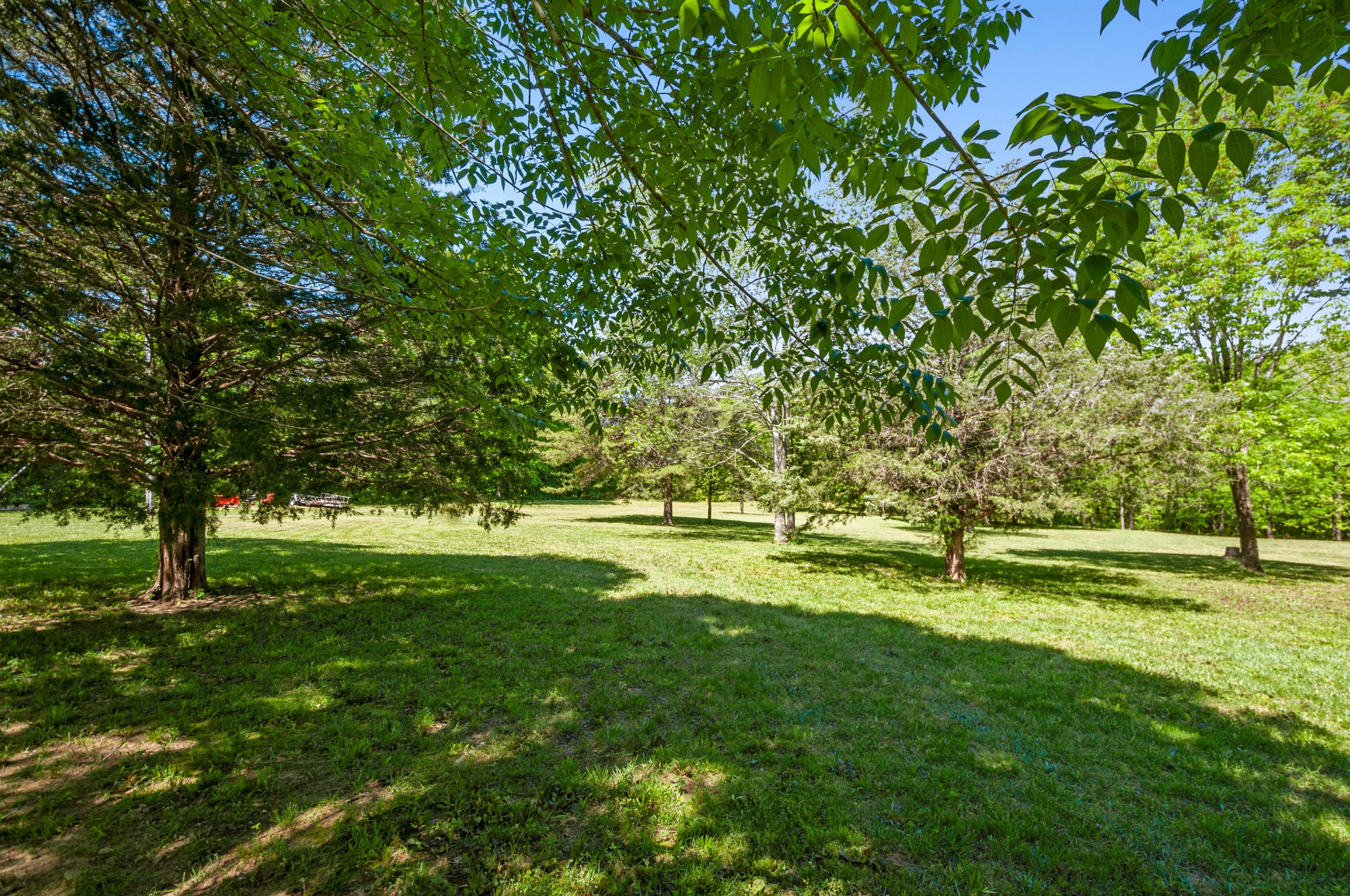 200 Newburg Road Hohenwald, TN 38462 - Photo 33 of 50 Gallery Image 33
