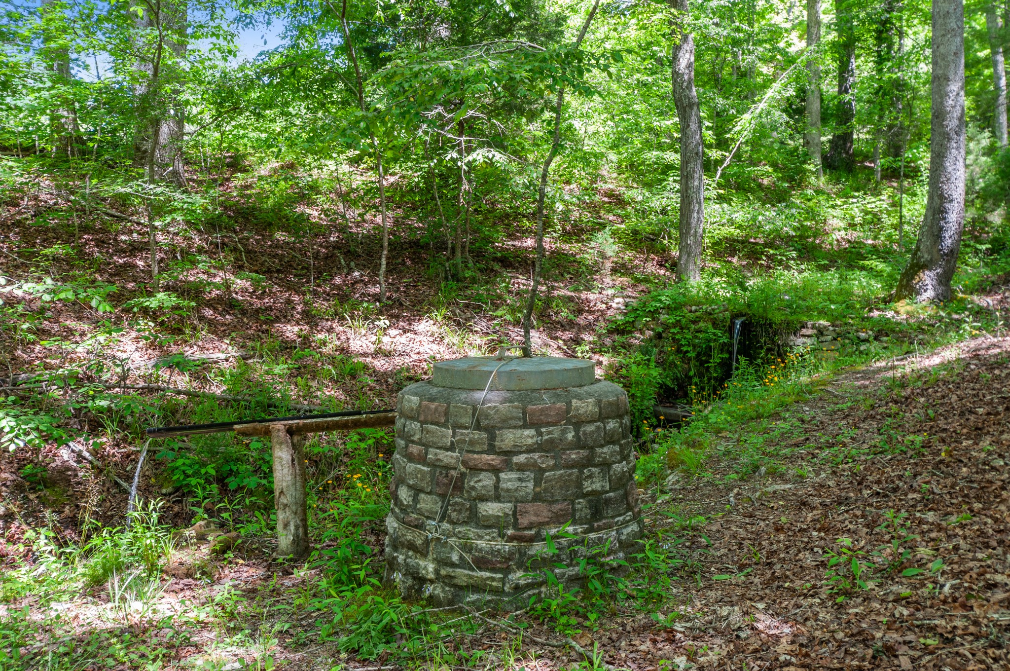 200 Newburg Road Hohenwald, TN 38462 - Photo 40 of 50 Gallery Image 40