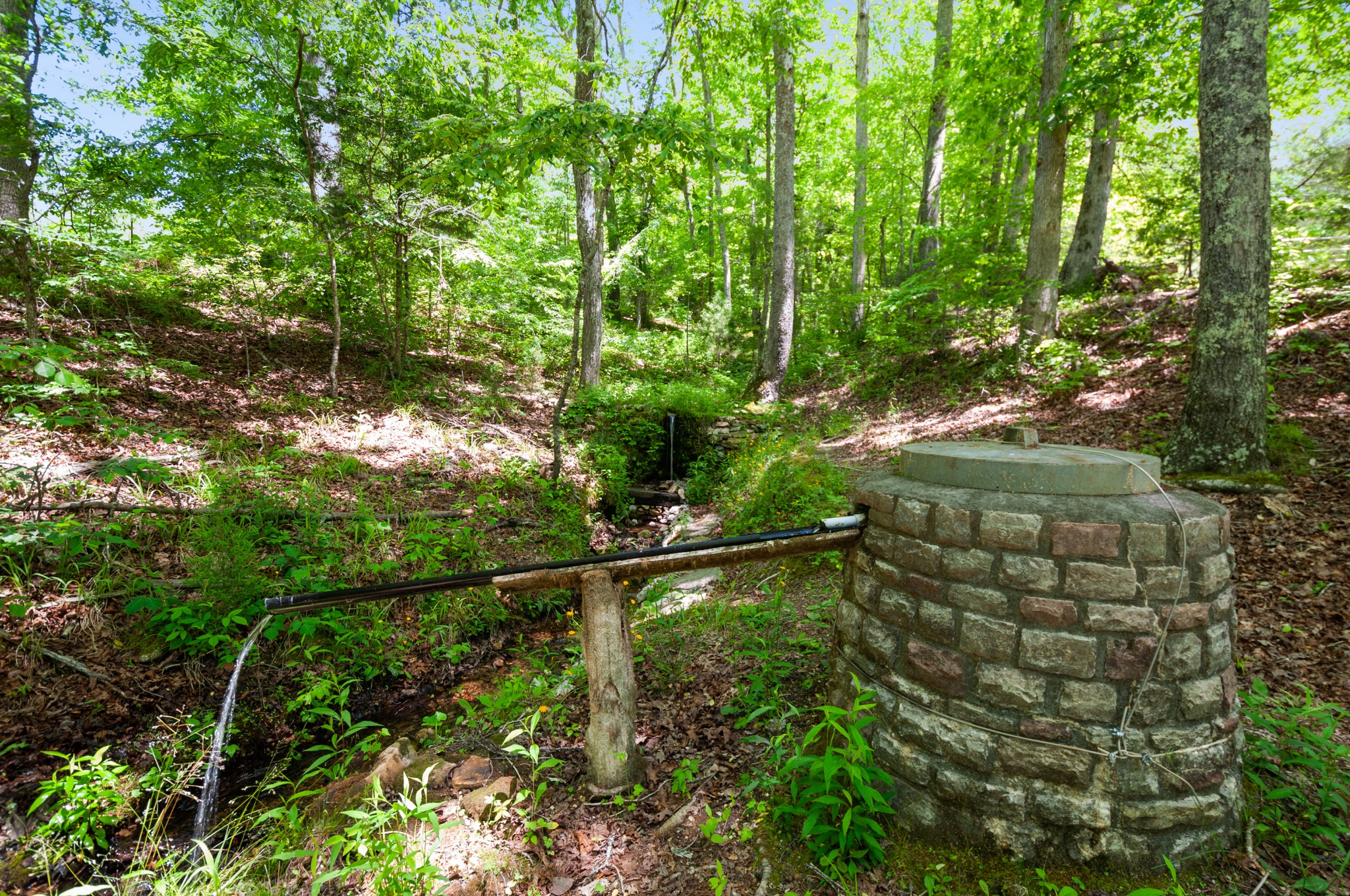 200 Newburg Road Hohenwald, TN 38462 - Photo 41 of 50 Gallery Image 41