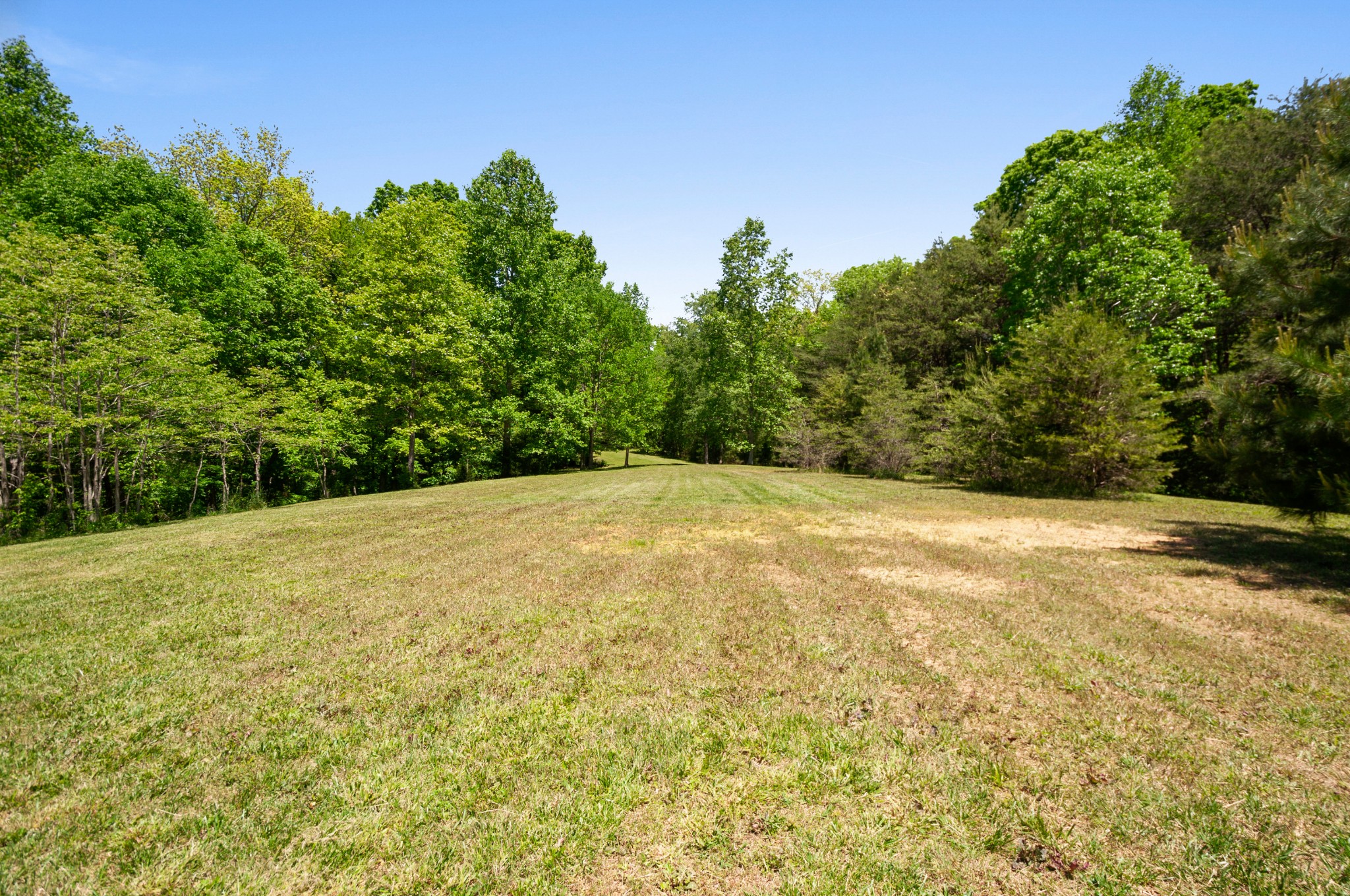 200 Newburg Road Hohenwald, TN 38462 - Photo 48 of 50 Gallery Image 48