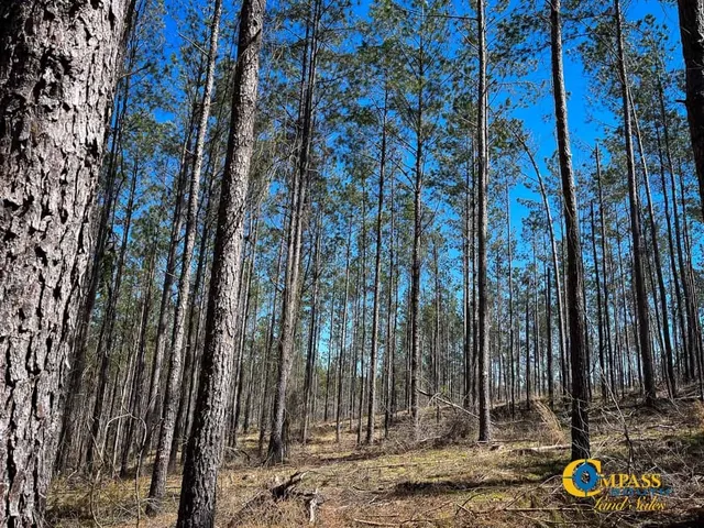 $436,500 | 0 Tull Road, Bolivar, TN 38008