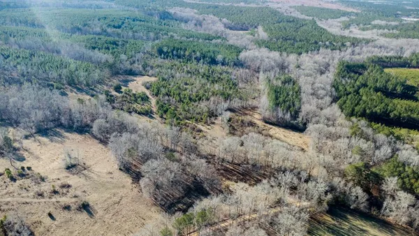 a view of a dry yard with lots of trees