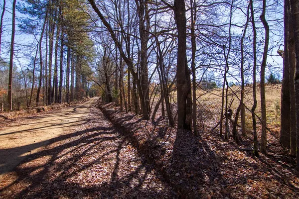 a view of outdoor space with trees