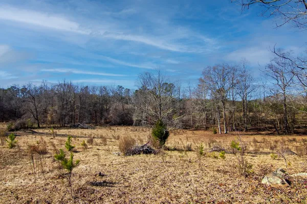 a view of a yard covered in snow
