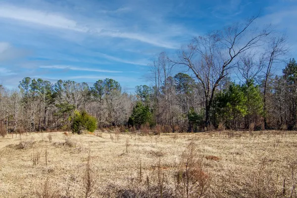 a view of large yard