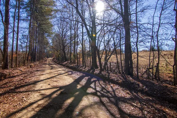 a view of backyard of a house