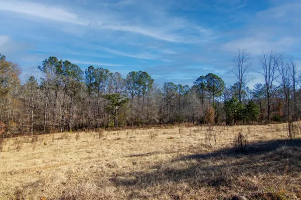 a view of yard covered with snow