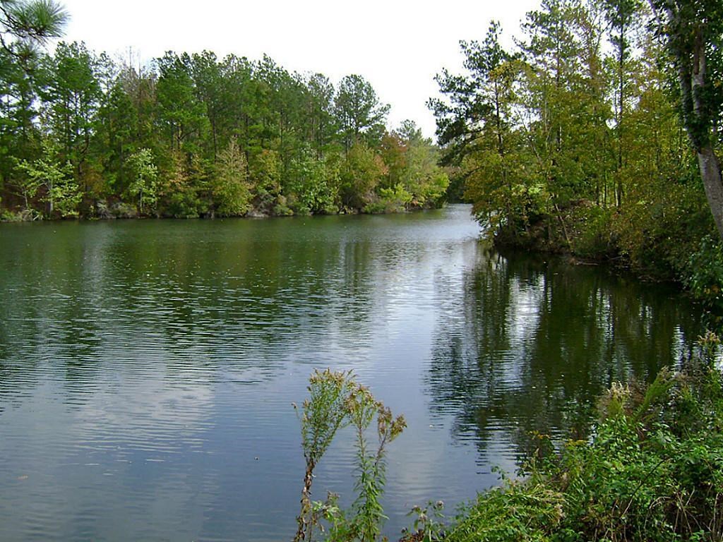 47 Deer Ridge Cleveland, TX 77327 - Photo 1 of 6 a lake view with a lake view