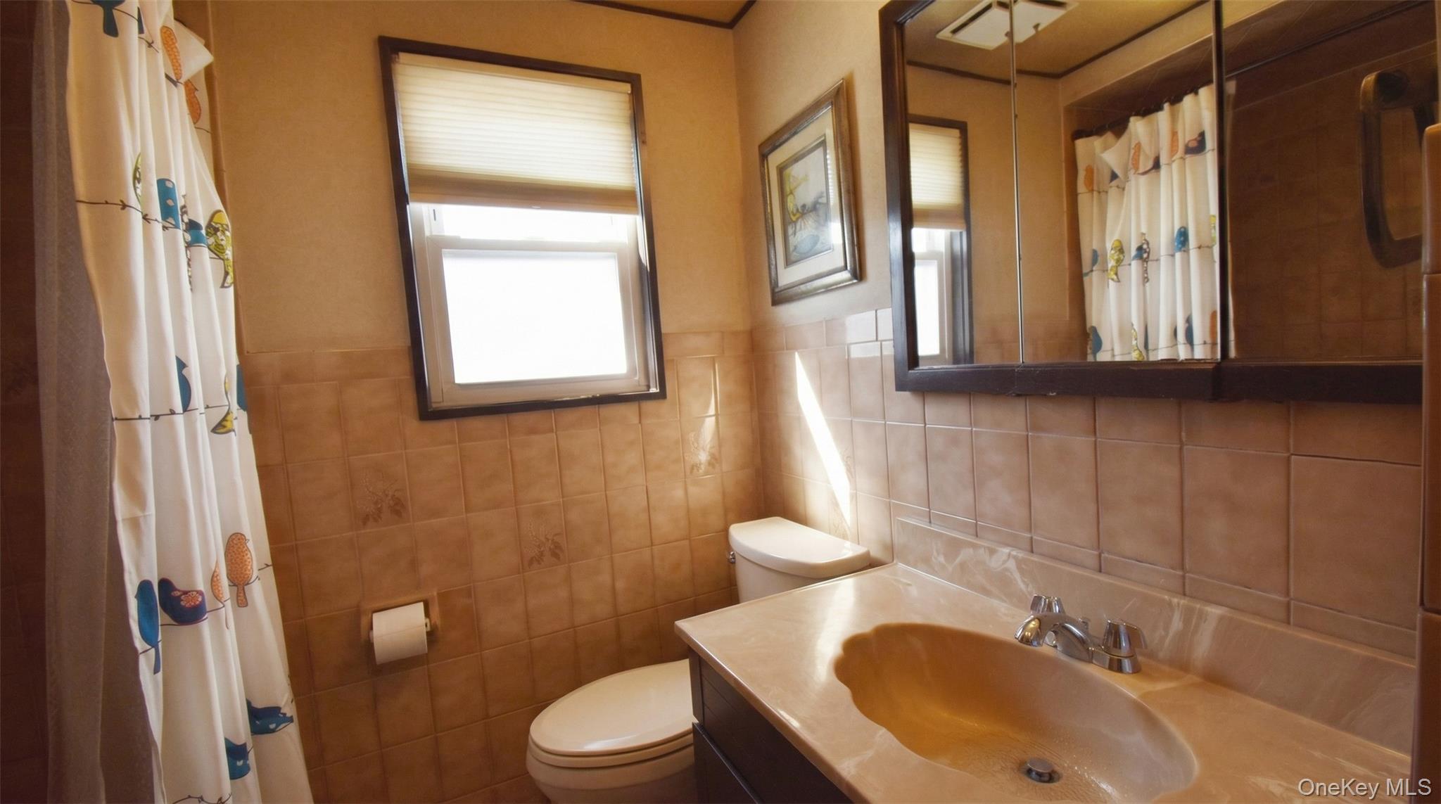 6 Sullivan Road Farmingdale, NY 11735 - Photo 11 of 21 a bathroom with a sink a toilet and a mirror
