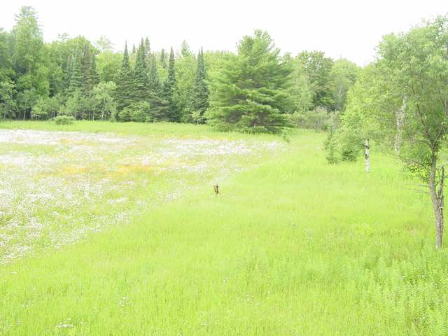 On Sunset Road Presque Isle, WI 54557 - Photo 14 of 14 Gallery Image 14