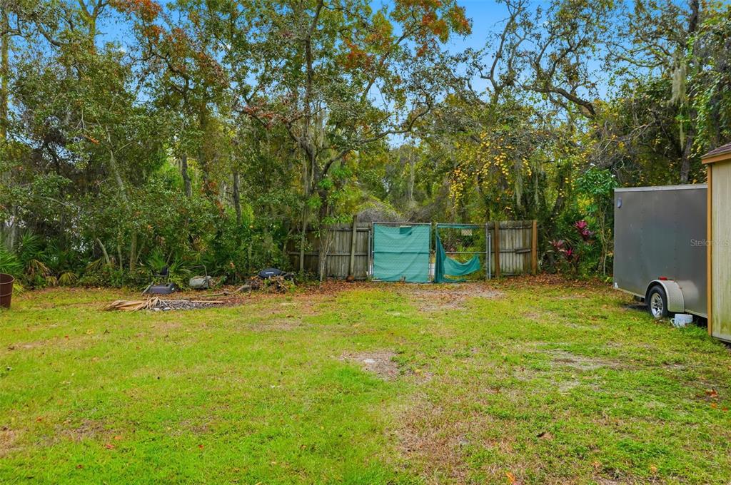204 Planter Road Spring Hill, FL 34606 - Photo 42 of 45 a backyard of a house with yard and trampoline