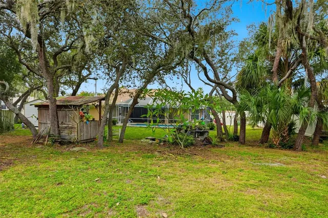 a view of a park with a tree