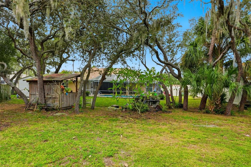 204 Planter Road Spring Hill, FL 34606 - Photo 43 of 45 a view of a park with a tree