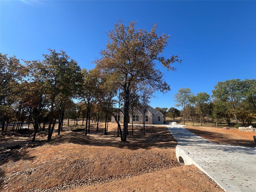 1053 Llano Way Poolville, TX 76487 - Photo 2 of 26 a view of road space with trees