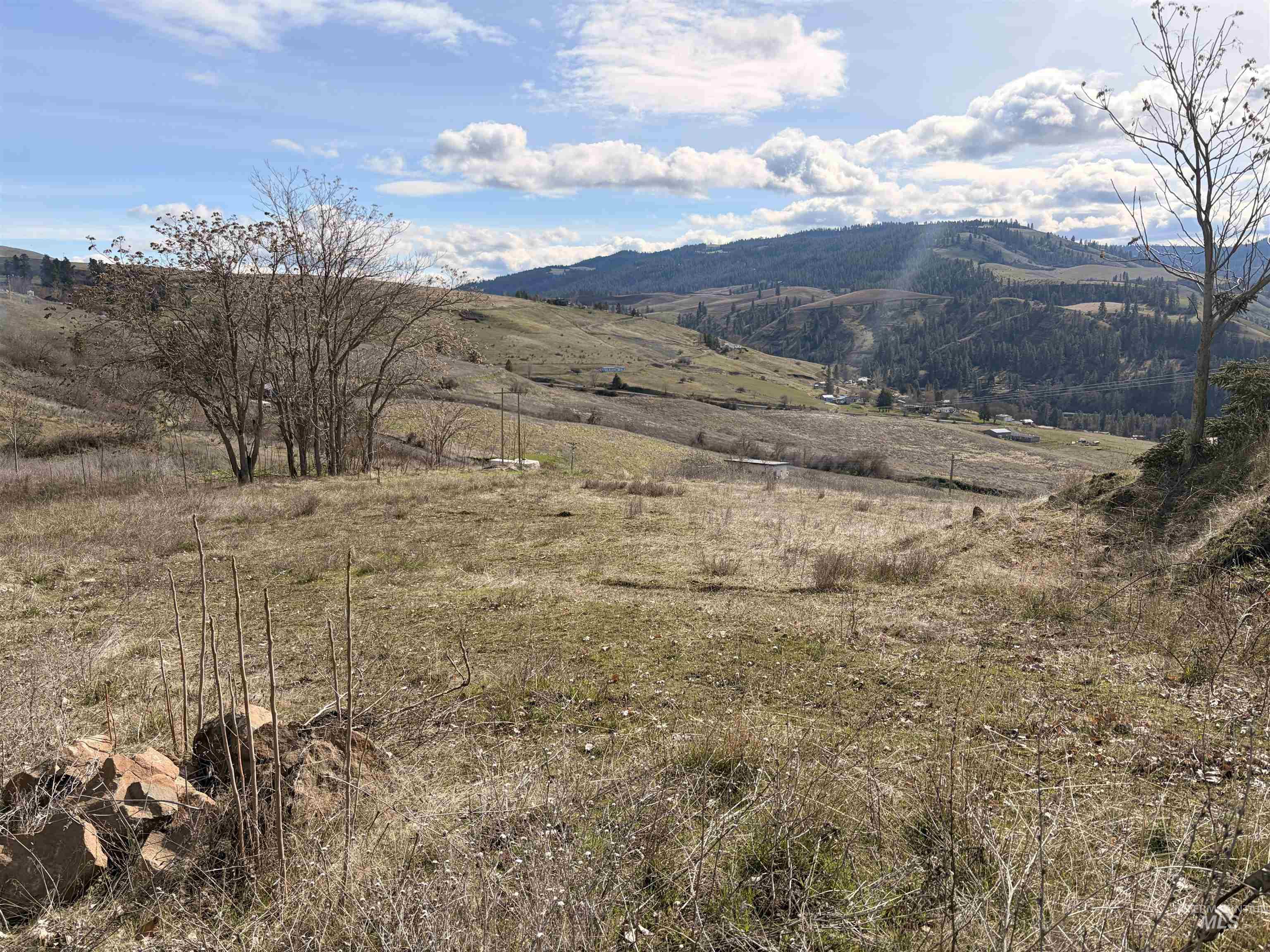 36171 River Road Lenore, ID 83541 - Photo 12 of 36 Mountain view with rural landscape