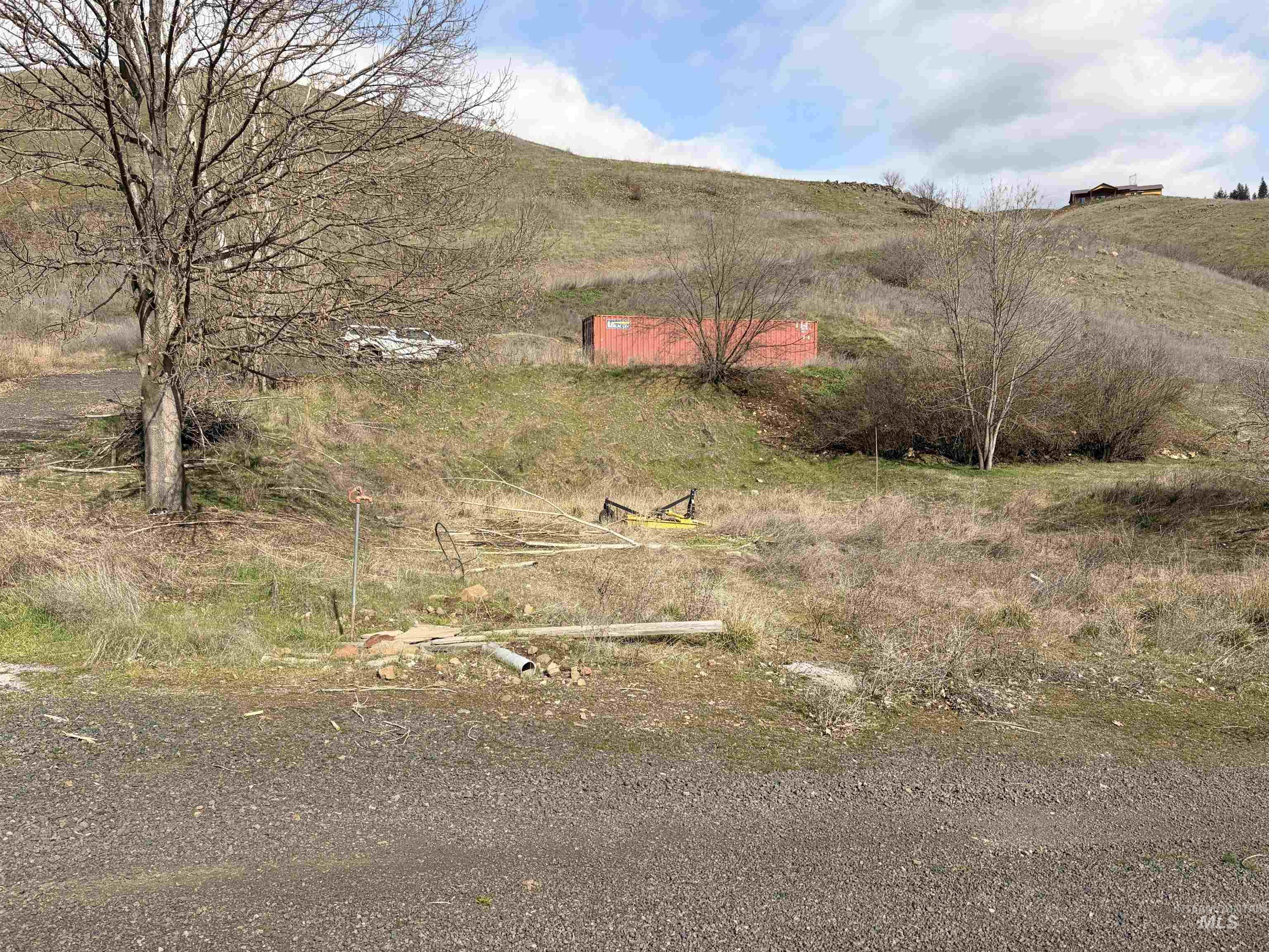 36171 River Road Lenore, ID 83541 - Photo 13 of 36 View of mountain background