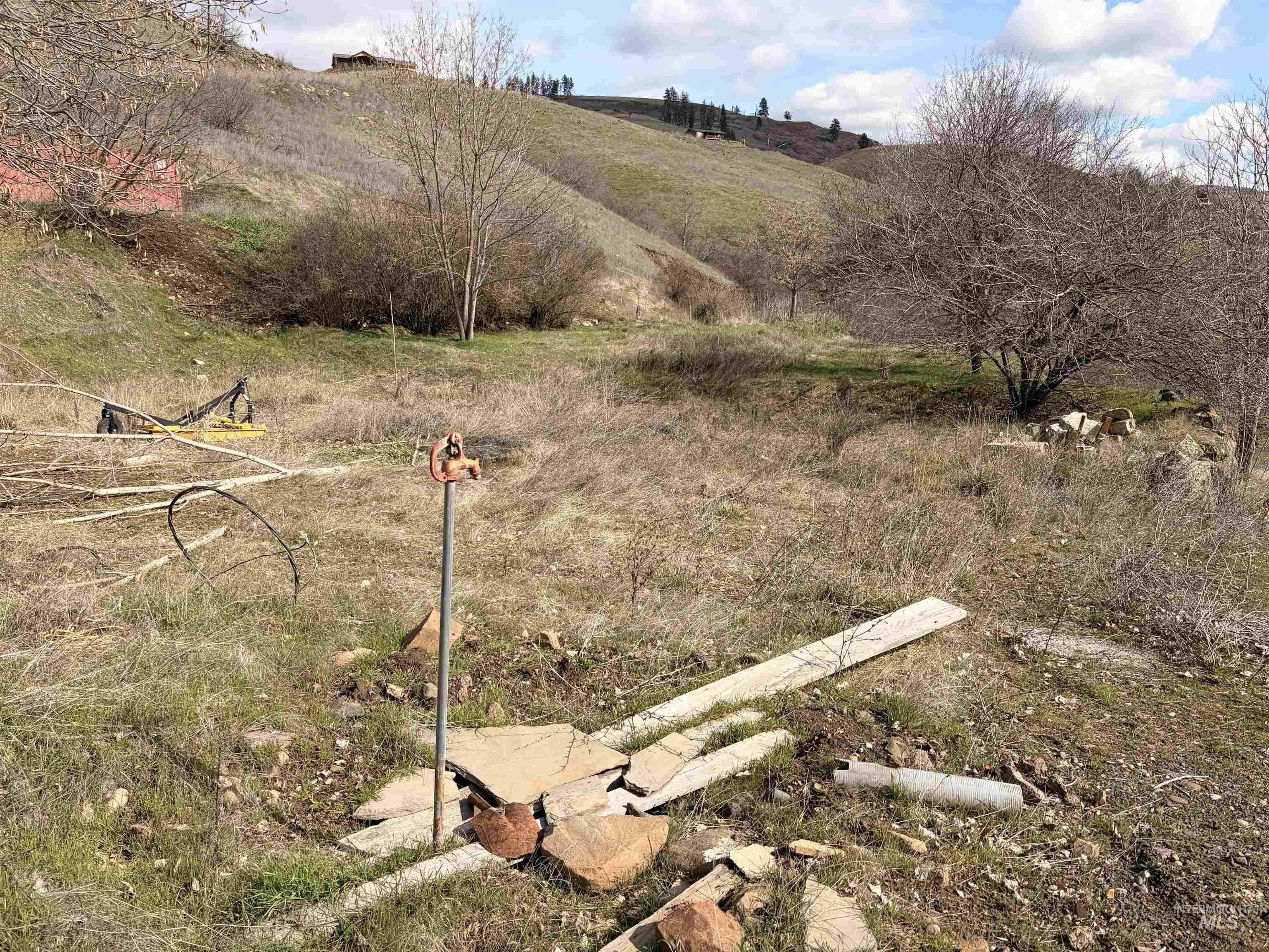 36171 River Road Lenore, ID 83541 - Photo 14 of 36 View of yard