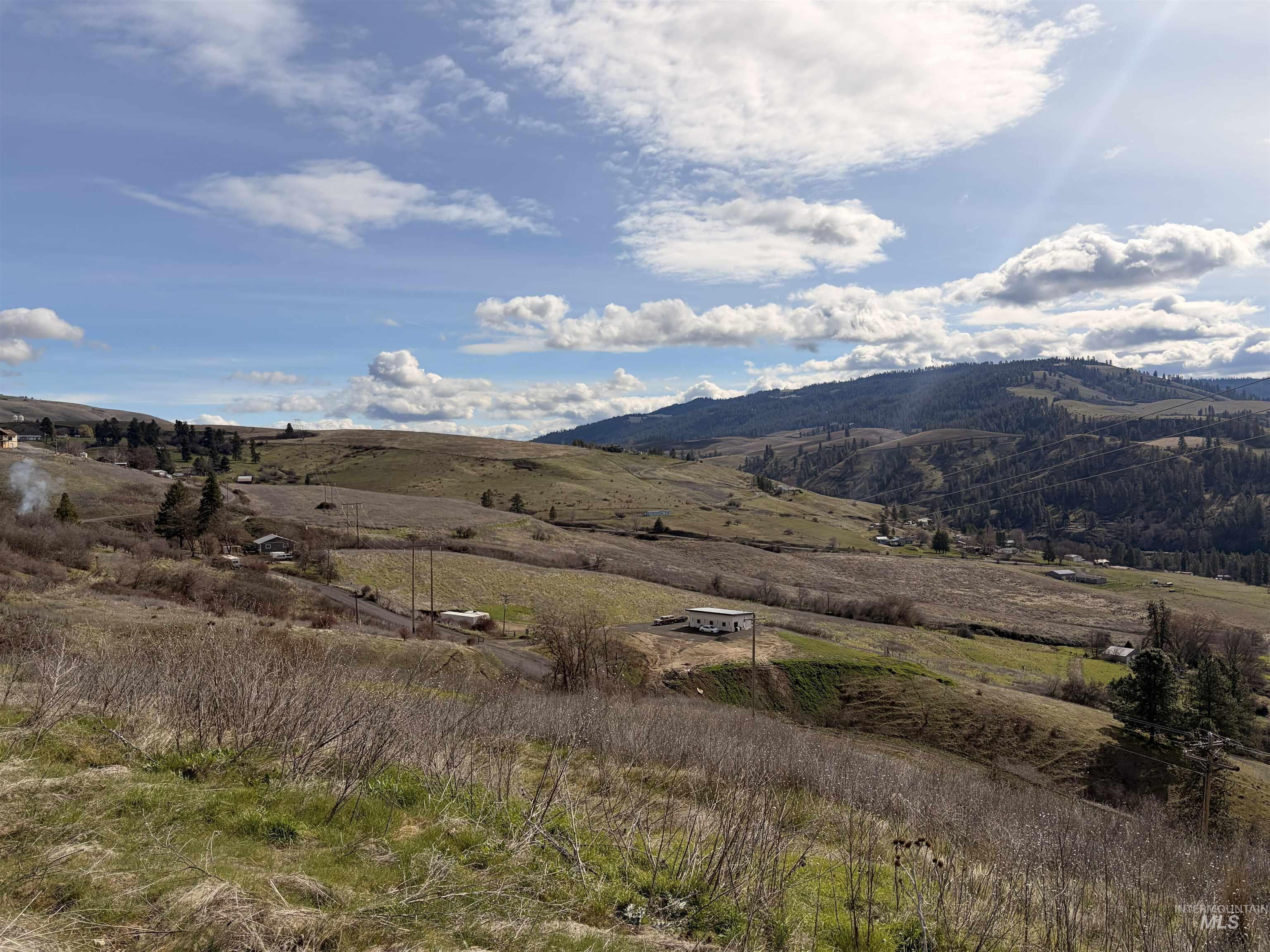 36171 River Road Lenore, ID 83541 - Photo 17 of 36 View of mountain backdrop with rural landscape