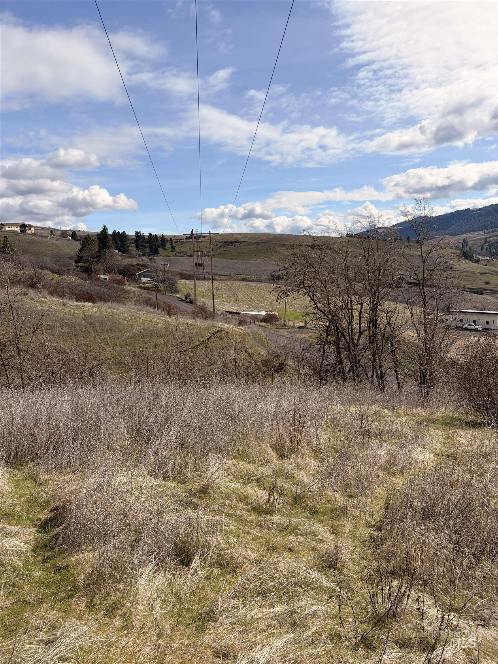 36171 River Road Lenore, ID 83541 - Photo 19 of 36 View of local wilderness featuring rural landscape