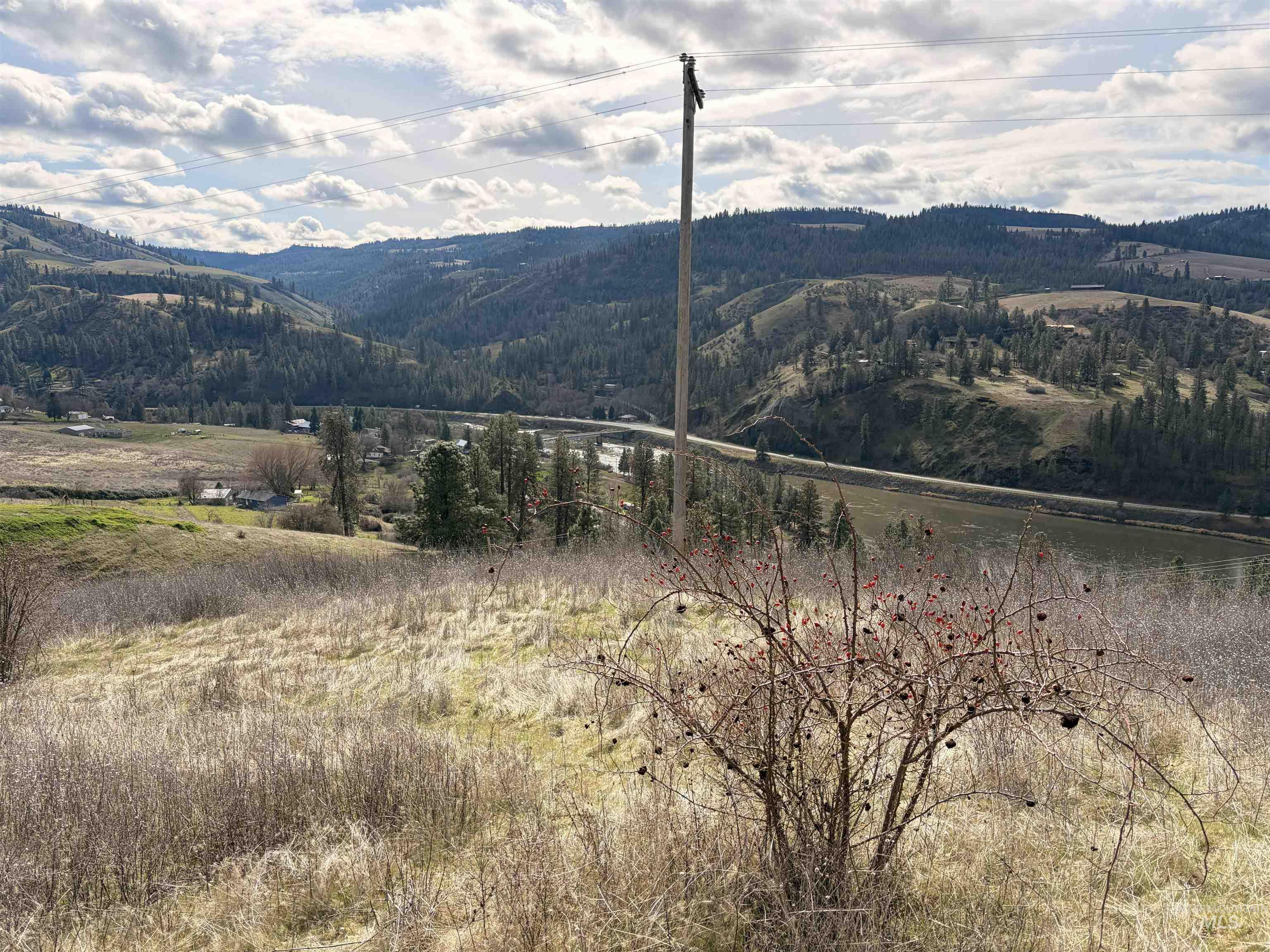 36171 River Road Lenore, ID 83541 - Photo 20 of 36 Mountain view with rural landscape