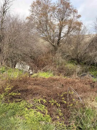 $225,000 | 36171 River Road, Lenore, ID 83541