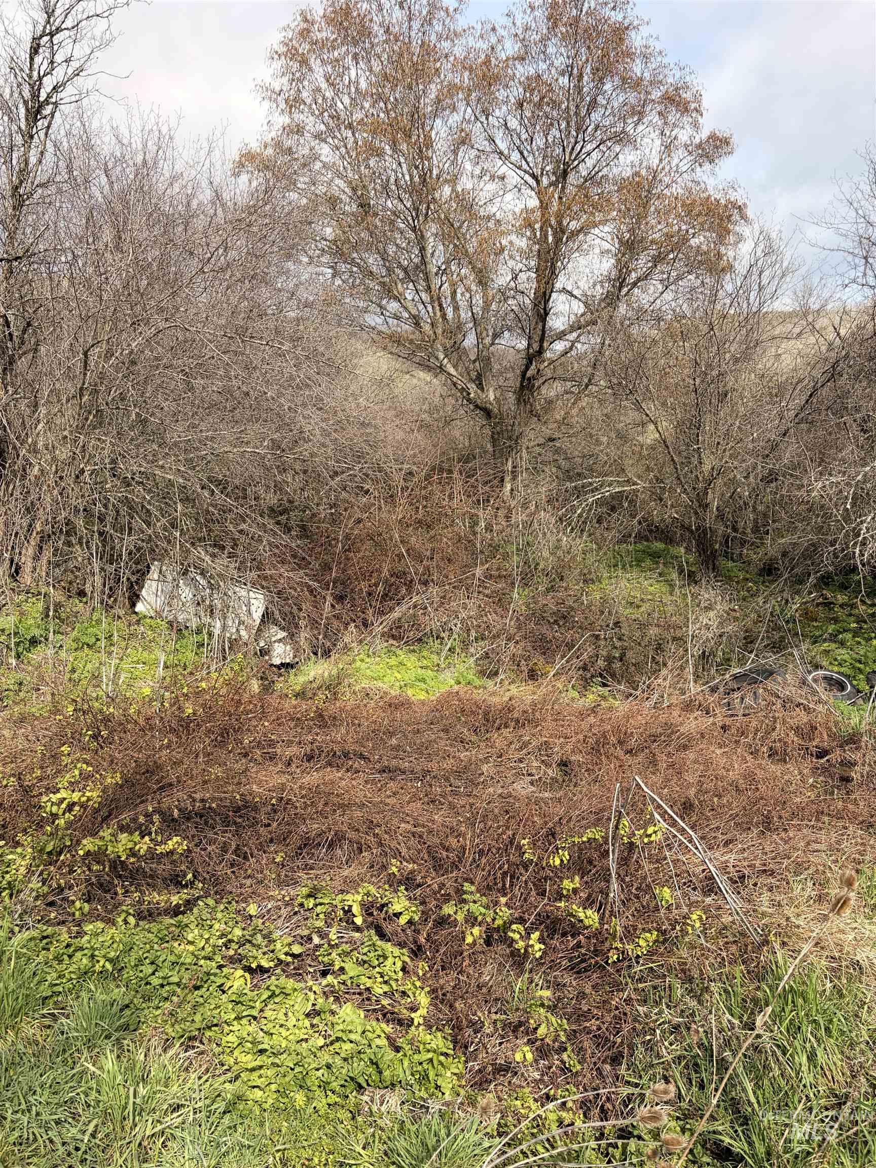 36171 River Road Lenore, ID 83541 - Photo 22 of 36 View of undeveloped land