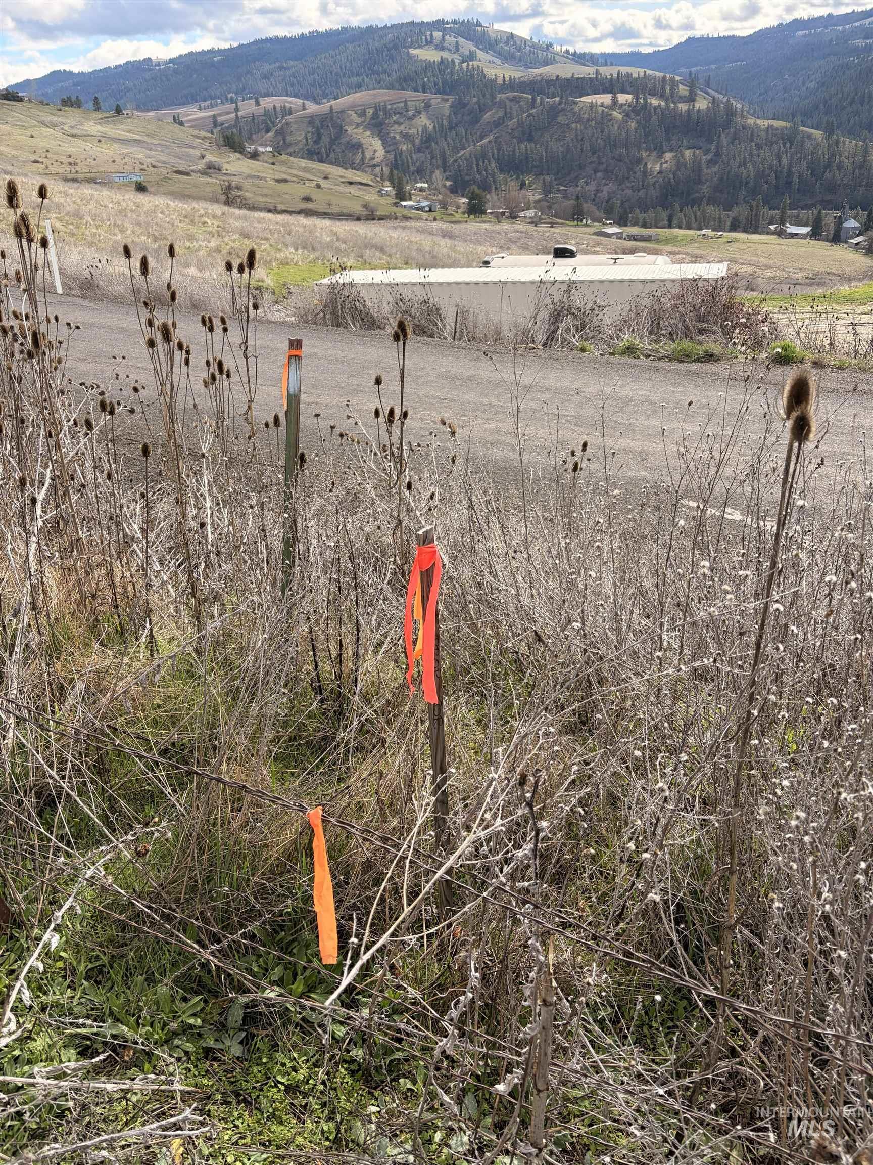 36171 River Road Lenore, ID 83541 - Photo 23 of 36 Exterior view of a mountain backdrop
