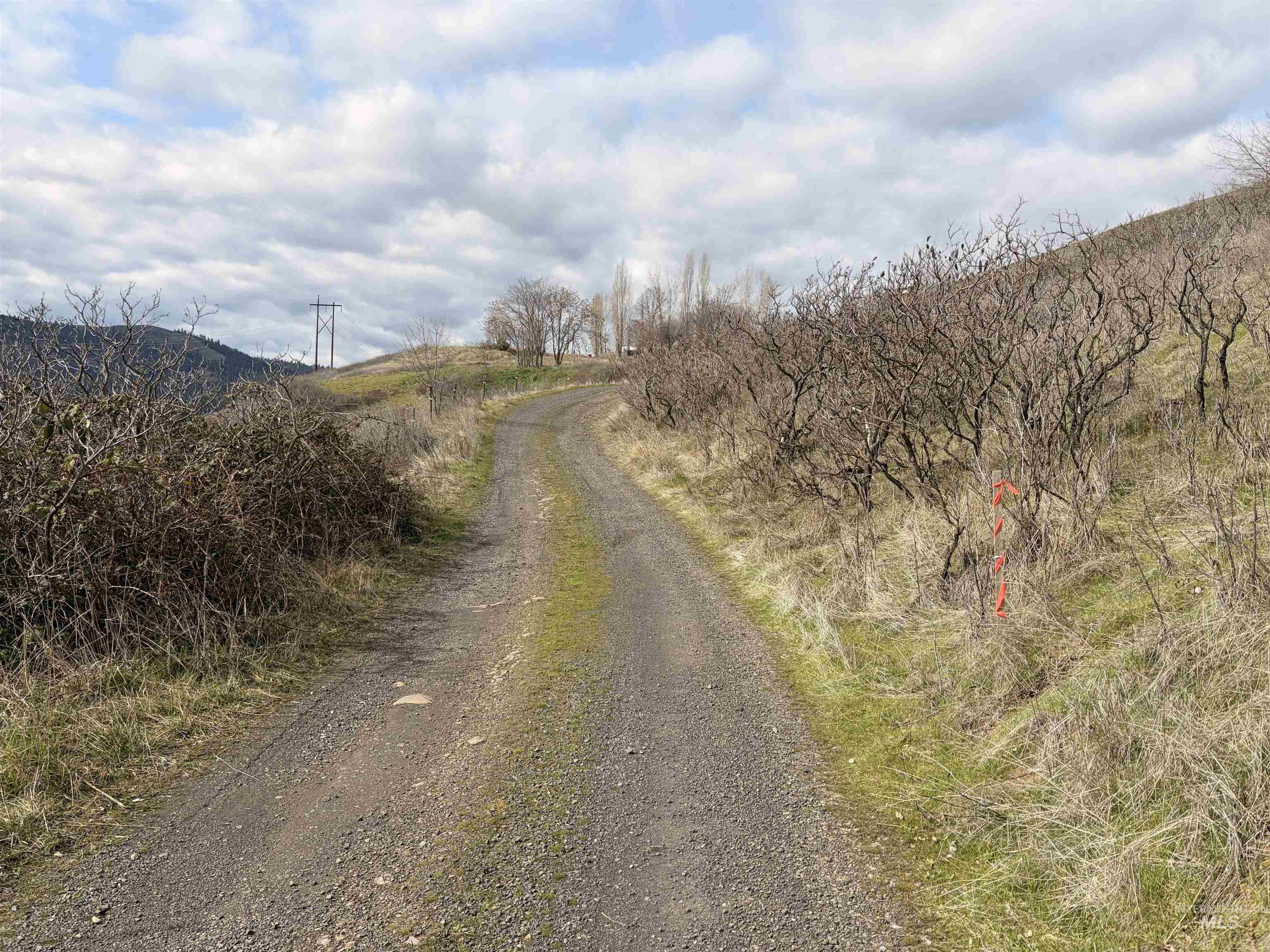 36171 River Road Lenore, ID 83541 - Photo 26 of 36 View of street featuring a view of rural / pastoral area and a mountain view