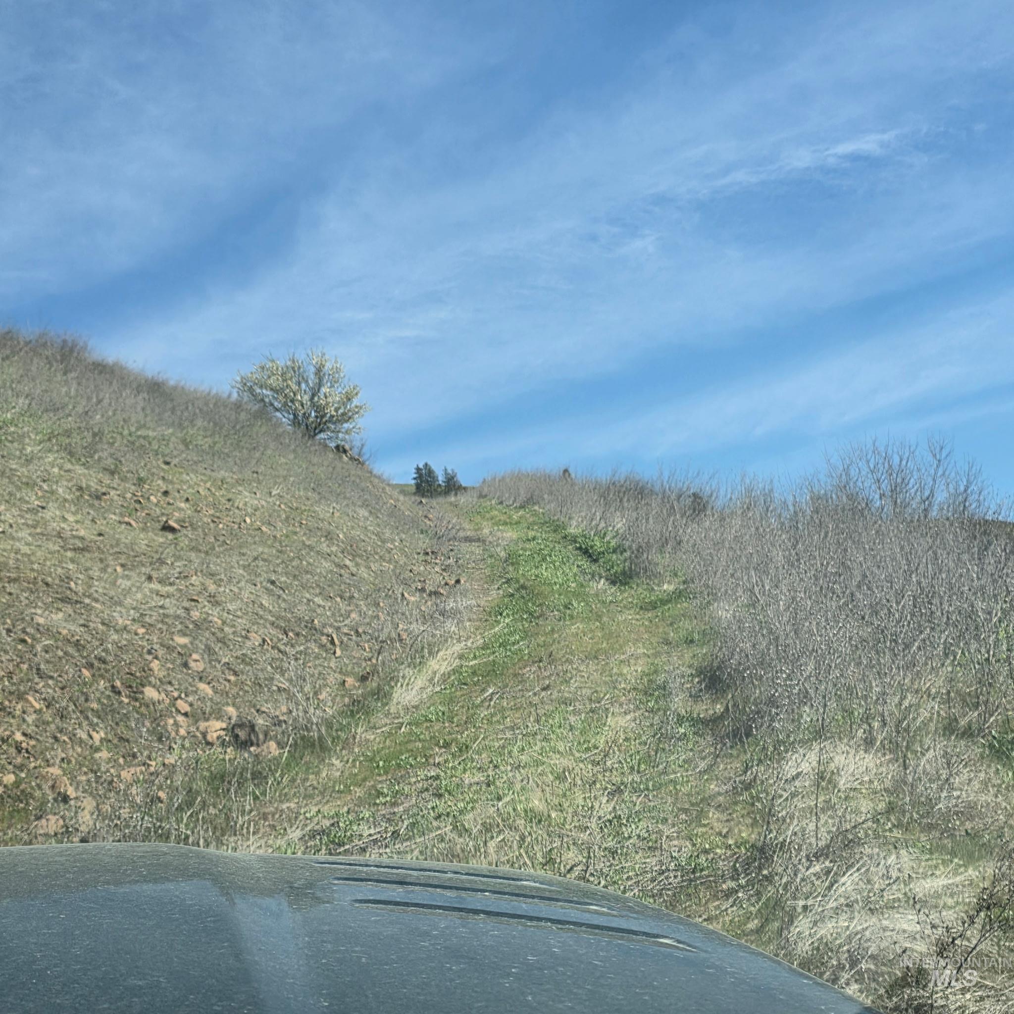 36171 River Road Lenore, ID 83541 - Photo 31 of 36 road to upper building lot