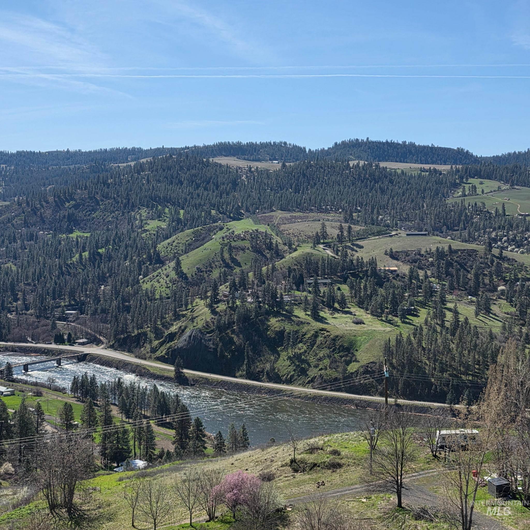 36171 River Road Lenore, ID 83541 - Photo 32 of 36 View of mountain background featuring a heavily wooded area and a nearby body of water