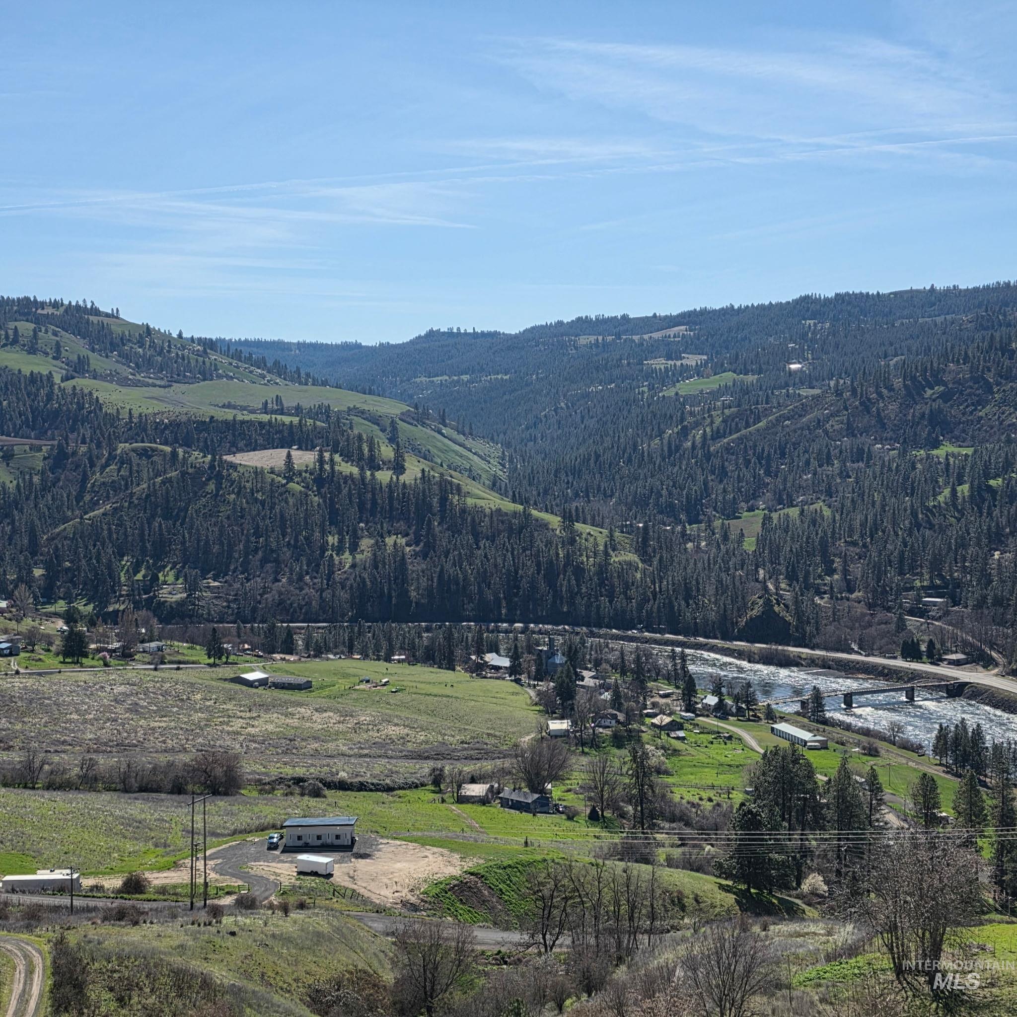 36171 River Road Lenore, ID 83541 - Photo 33 of 36 View of mountain background featuring a forest