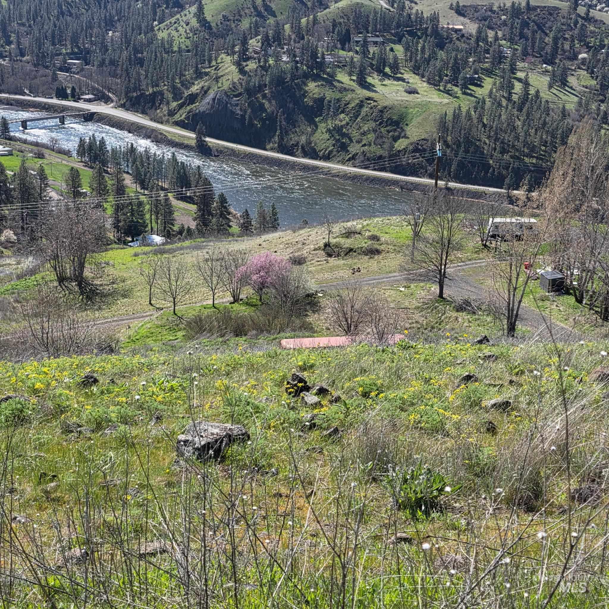 36171 River Road Lenore, ID 83541 - Photo 34 of 36 View of yard featuring a water view