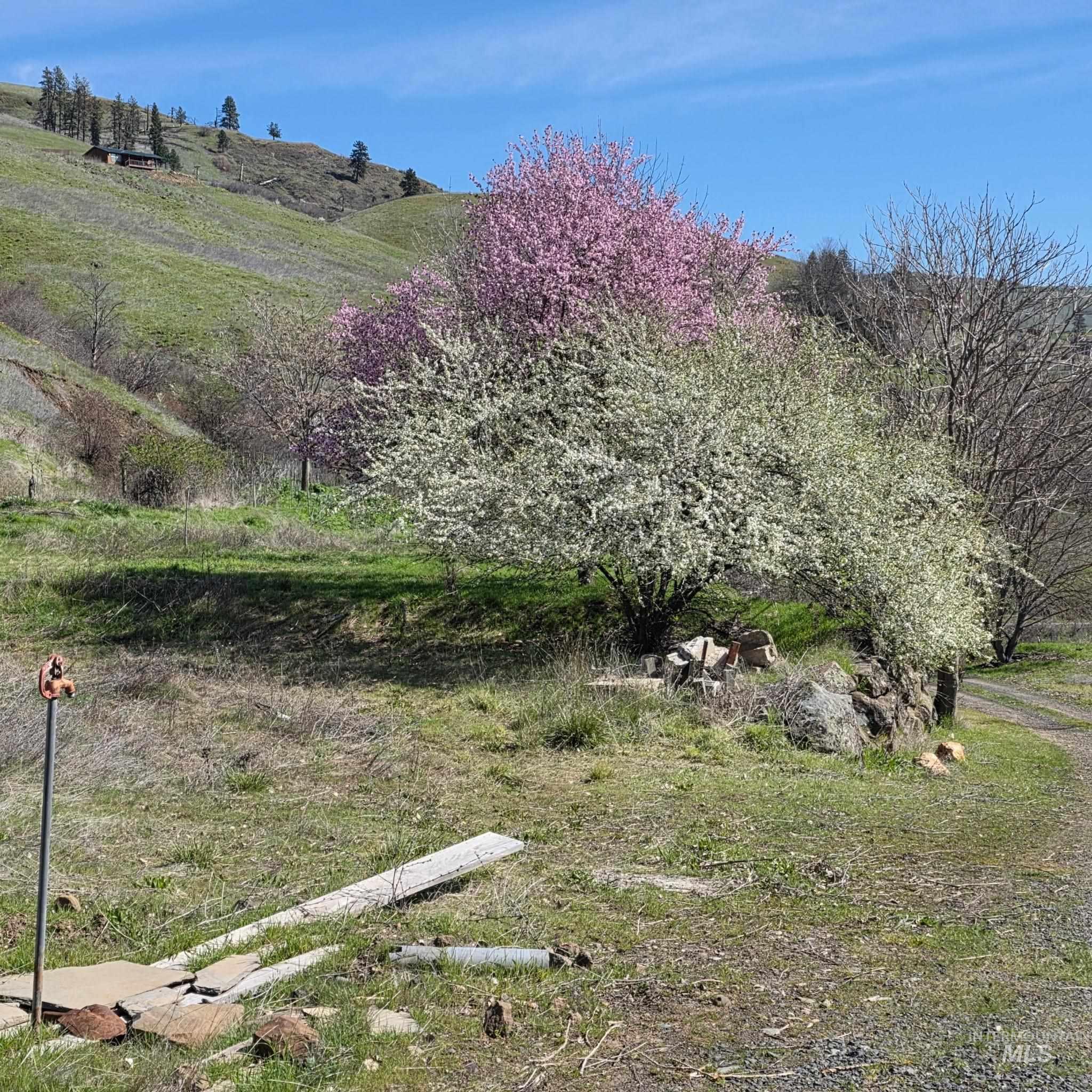 36171 River Road Lenore, ID 83541 - Photo 36 of 36 View of yard