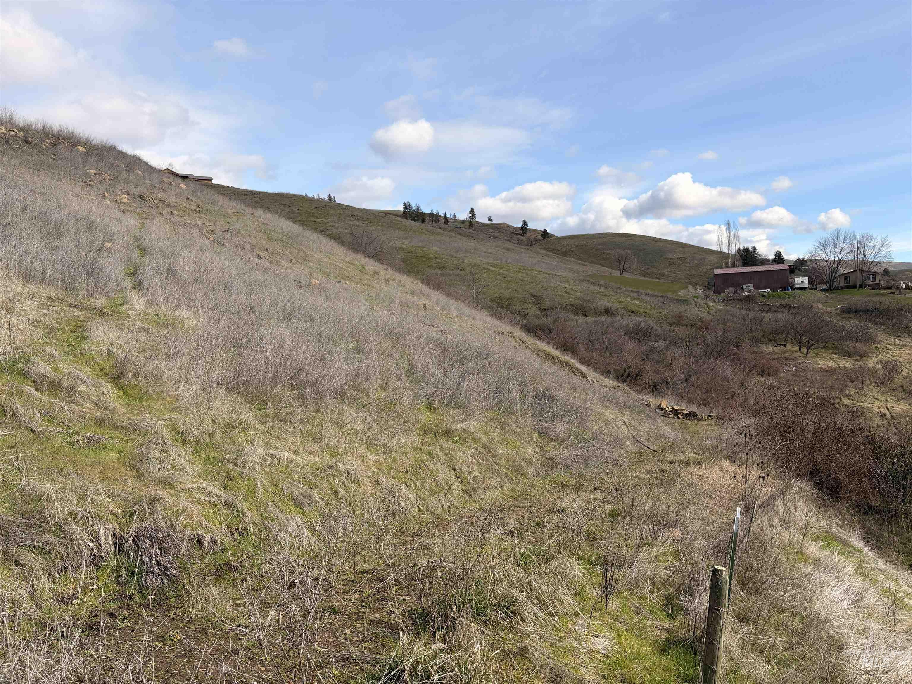 36171 River Road Lenore, ID 83541 - Photo 8 of 36 View of undeveloped land with rural landscape