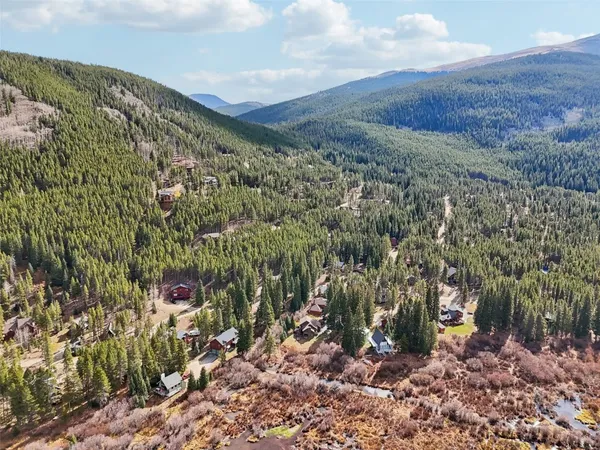 a view of a forest with a mountain