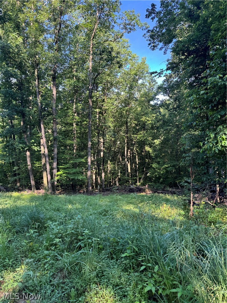 Stone Quarry Road Danville, OH 43014 - Photo 21 of 50
