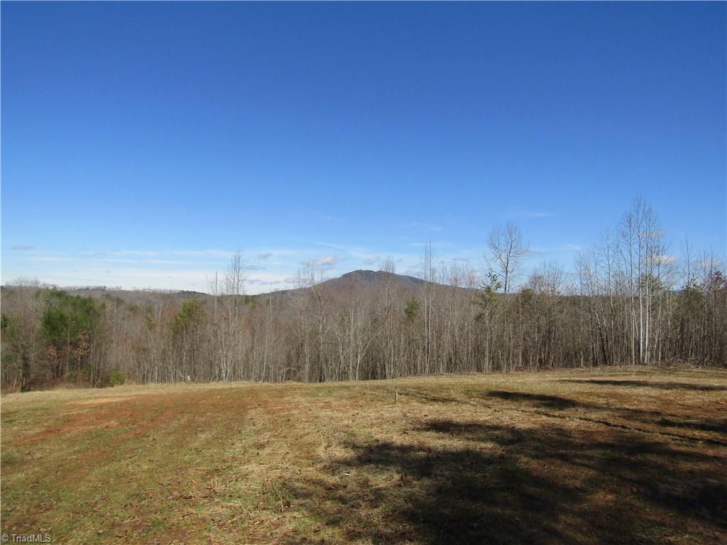 Lot 7 Sandy Rdg Trail Pinnacle, NC 27043 - Photo 1 of 22