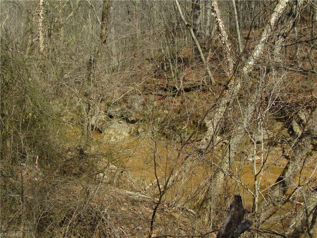 Lot 7 Sandy Rdg Trail Pinnacle, NC 27043 - Photo 14 of 22