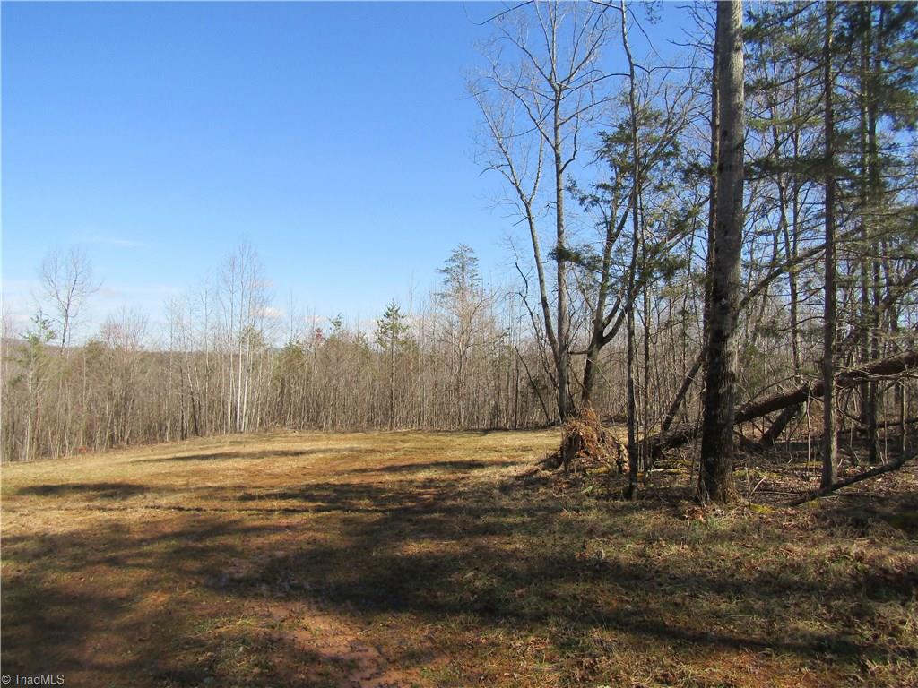 Lot 7 Sandy Rdg Trail Pinnacle, NC 27043 - Photo 3 of 22