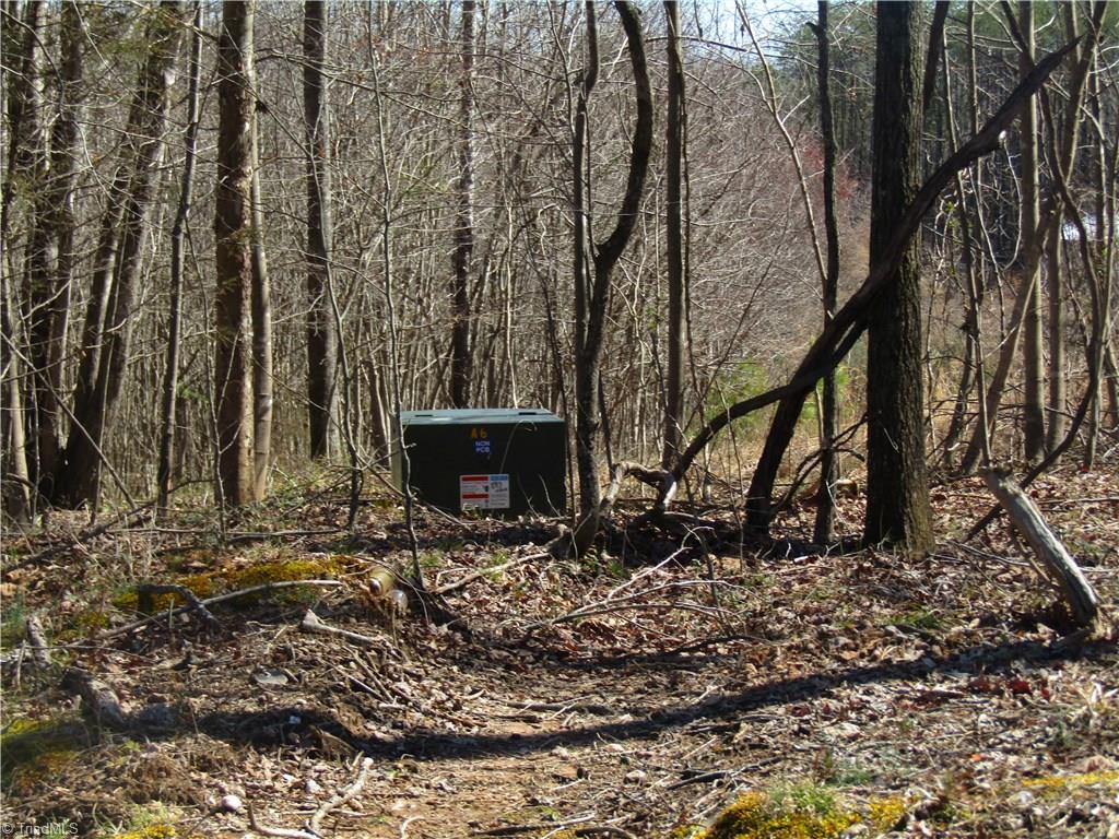 Lot 7 Sandy Rdg Trail Pinnacle, NC 27043 - Photo 22 of 22