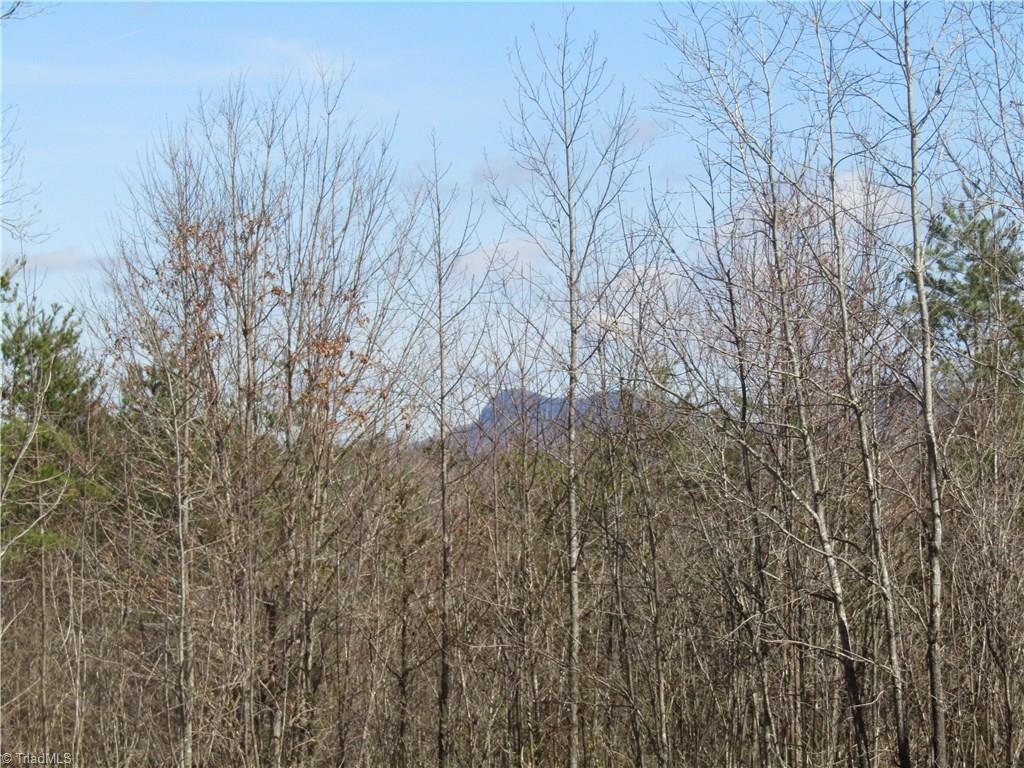 Lot 7 Sandy Rdg Trail Pinnacle, NC 27043 - Photo 6 of 22