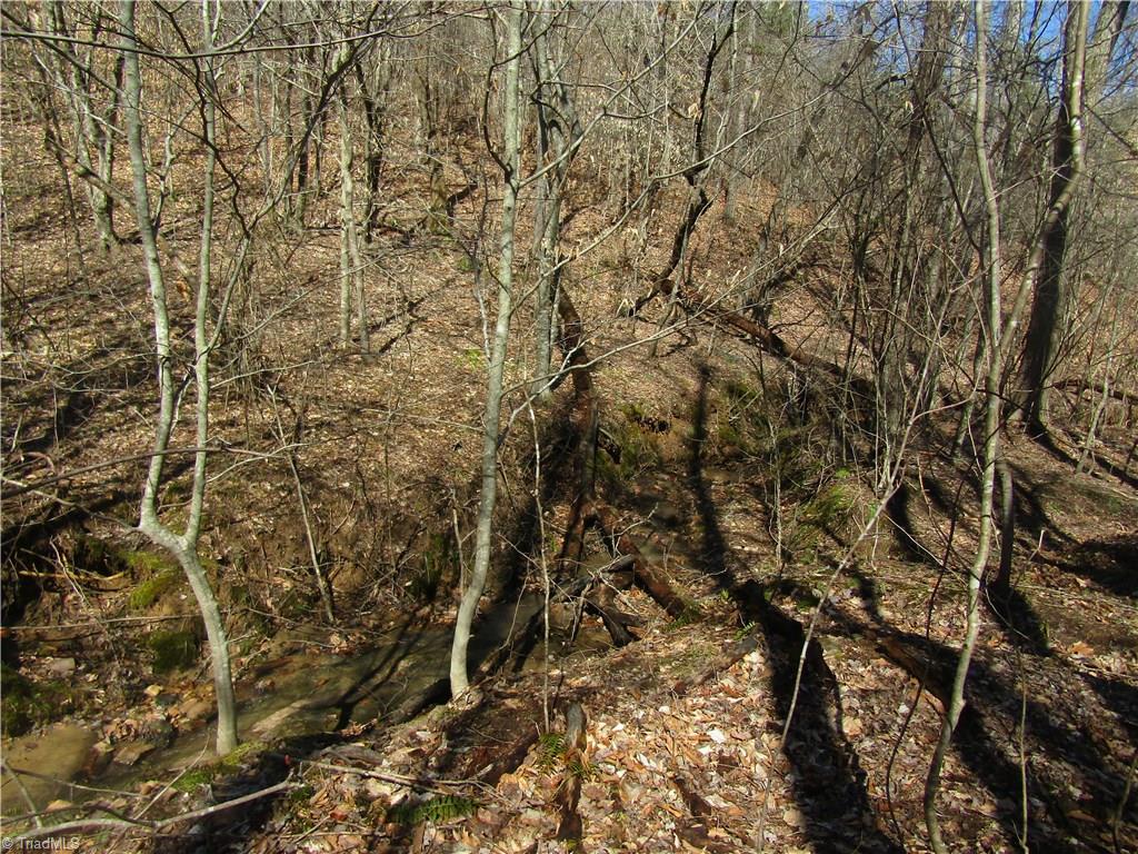 Lot 7 Sandy Rdg Trail Pinnacle, NC 27043 - Photo 7 of 22