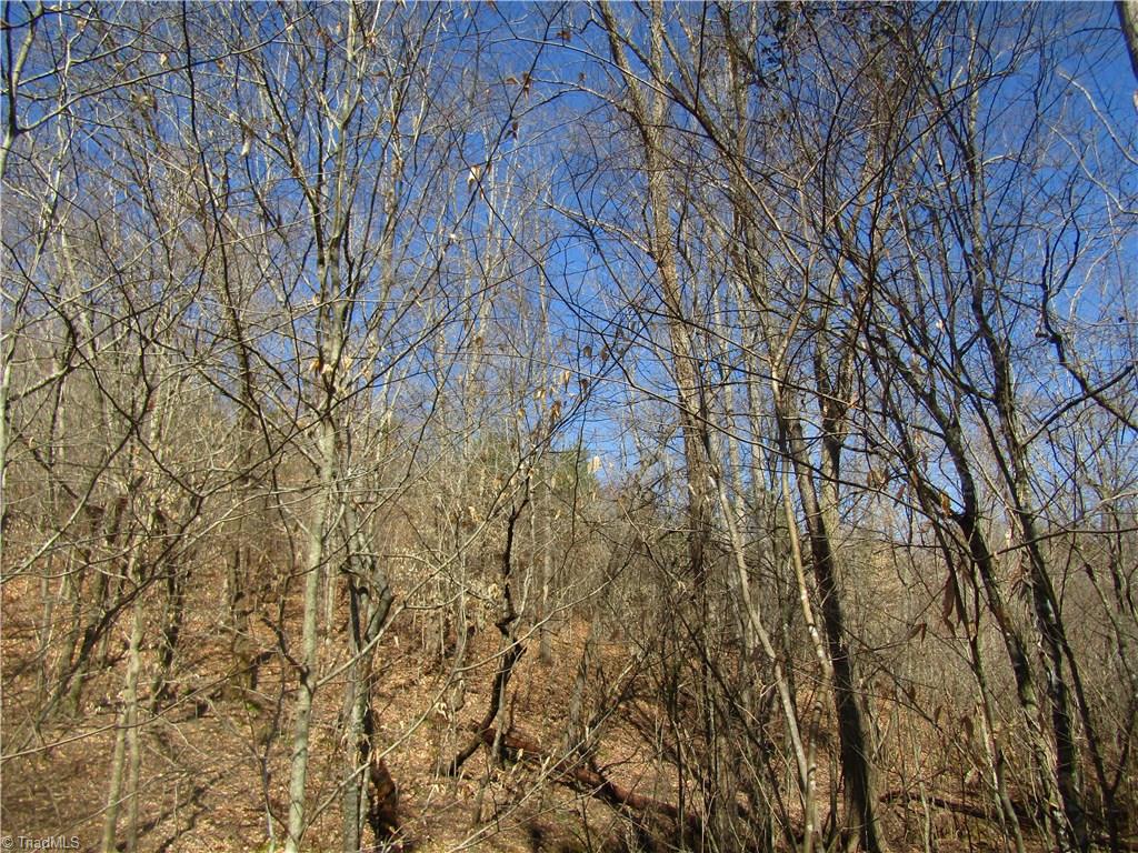 Lot 7 Sandy Rdg Trail Pinnacle, NC 27043 - Photo 8 of 22