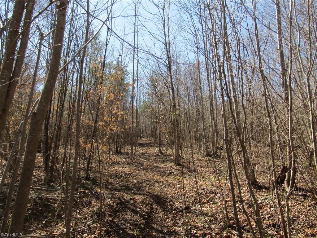 Lot 7 Sandy Rdg Trail Pinnacle, NC 27043 - Photo 9 of 22