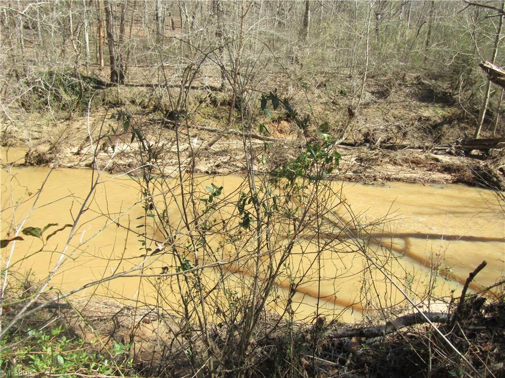 Lot 7 Sandy Rdg Trail Pinnacle, NC 27043 - Photo 10 of 22