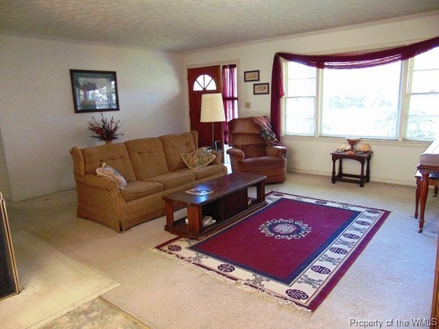 493 Burnham Road Williamsburg, VA 23185 - Photo 6 of 9 Gallery Image 6