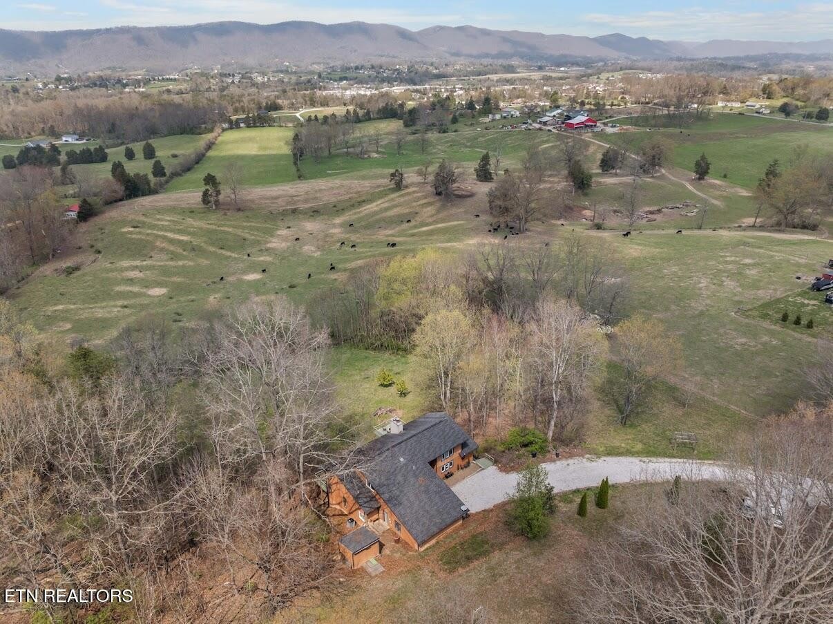 770 Mt Paran Road Jacksboro, TN 37757 - Photo 2 of 45