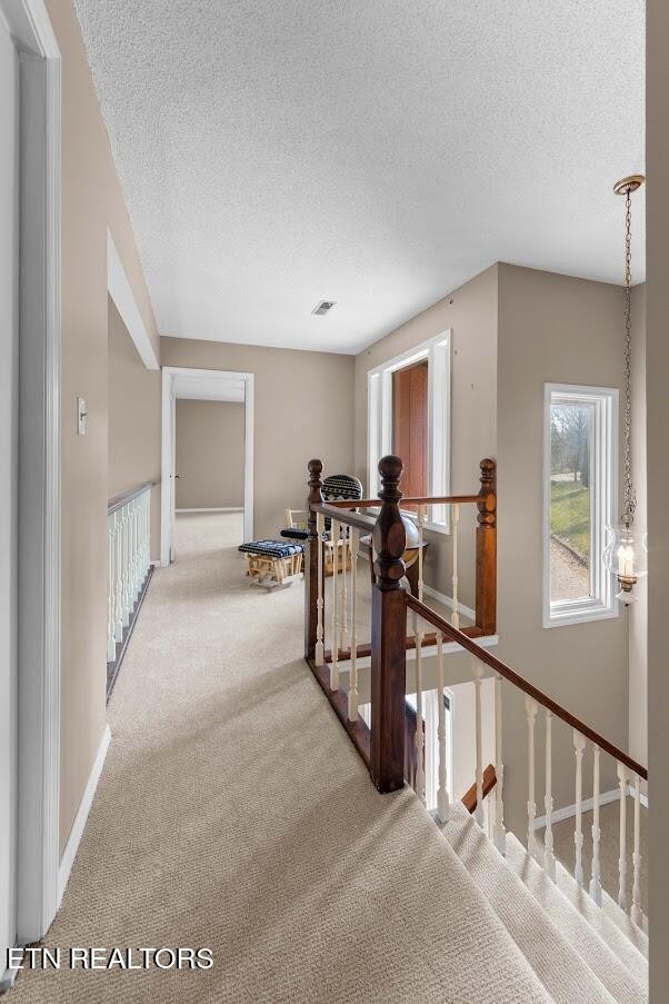 770 Mt Paran Road Jacksboro, TN 37757 - Photo 27 of 45